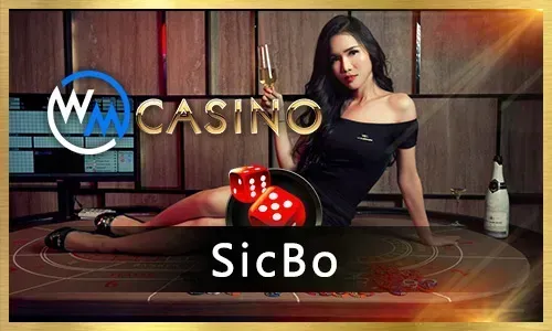 Daily Free Spins and rewards